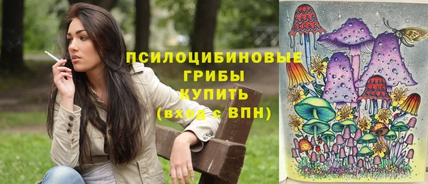 бутират Няндома