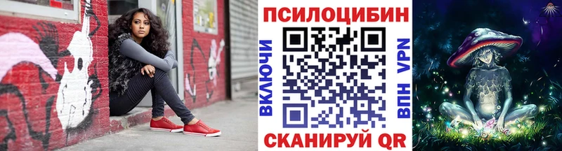 Псилоцибиновые грибы Psilocybe  kraken ССЫЛКА  Калтан 